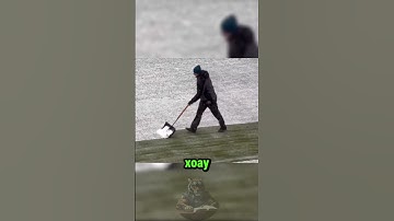 Làm Việc Cật Lực Chứ Không Thông Minh 😅