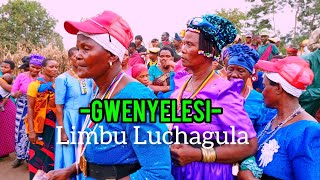Limbu Luchagula_Gwenyelesi_Video 4K