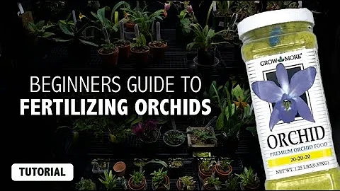 Beginners Guide to Fertilizing Orchids | Understand the  Basics + My Orchid Fertilizer Routine