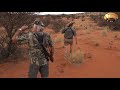 Buffalo in the Kalahari - Brutal 4 hour stalk