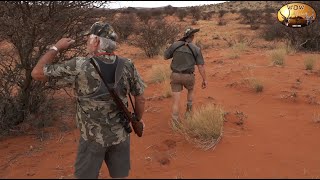 Buffalo in the Kalahari  Brutal 4 hour stalk