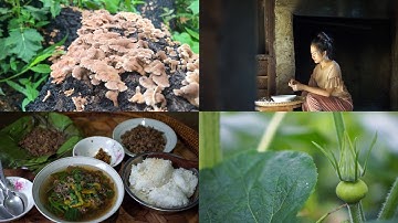 Forest mushroom soup with pumpkin leave - eat like HMONG | Nceb txhai xyaw ntsi taub | yaamaixi