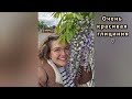 Суббота 16.5.26. Пикник "Мамочек Праги" в парке Obora Hvězda. 