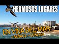 UN DIA VIÑA DEL MAR, REÑACA Y CONCON /QUE HACER/CONOCER - CHILE