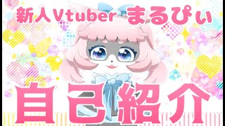 「【自己紹介】はじめまして！まるぴぃです！【新人Vtuber】」のサムネイル