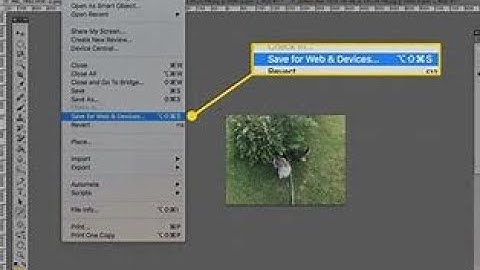How to Save for Web in Adobe Photoshop - Step-by-Step Guide l #adobephotoshop #web #save