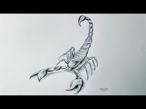 How To Draw A Scorpion Step By Step 