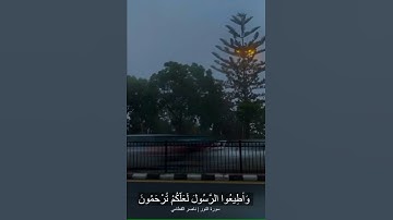 سورة النور - الآية 56