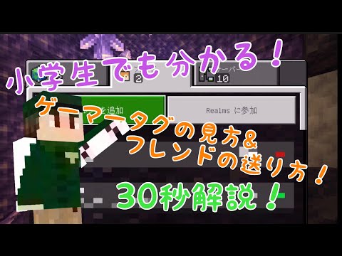 Minecraft 30秒で小学生でも分かるゲーマータグの見方とフレンドの送り方