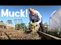 Allotment Gardening | Frightened Of Dirt | Allotment Garden With Tony in April