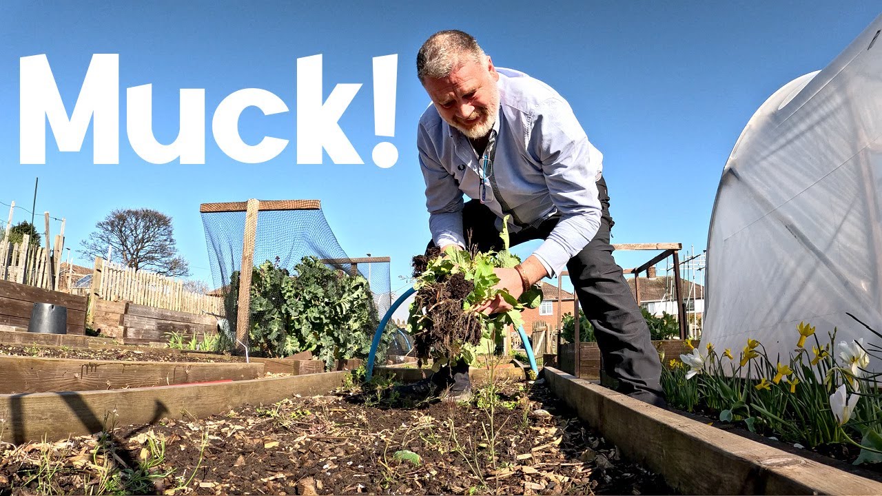 Allotment Gardening | Frightened Of Dirt | Allotment Garden With Tony in April