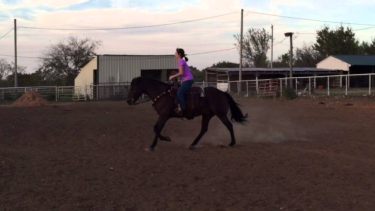 Flying Lead Changes YouTube