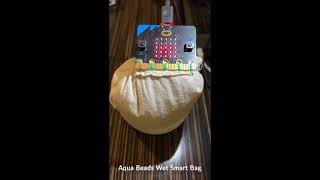 Smart Aqua Beads Bag Project - Sewing - IoT