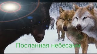 Посланная Небесами