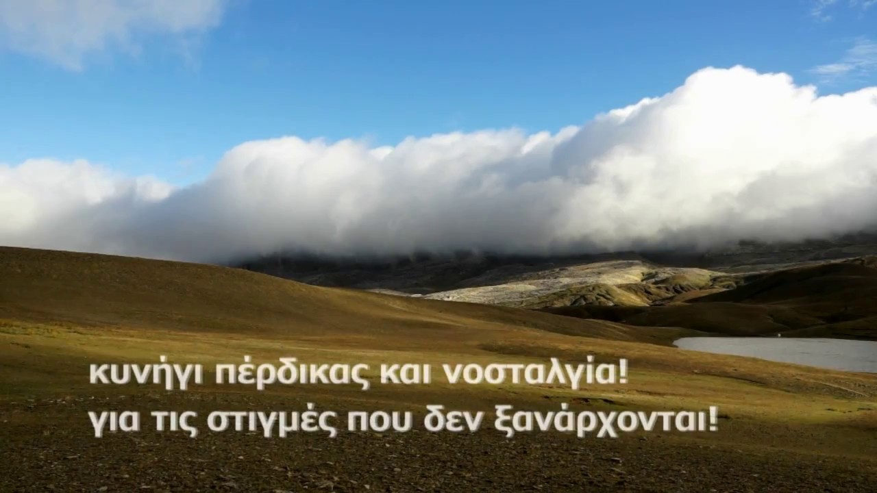 ΚΥΝΗΓΙ ΠΕΡΔΙΚΑΣ - Rock Partridge Alectoris Graeca) Hunting 