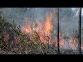 SciTech Central: Controlled Burns and Nature’s Fury