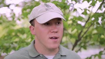 Episode 3: Mulching Your Tree