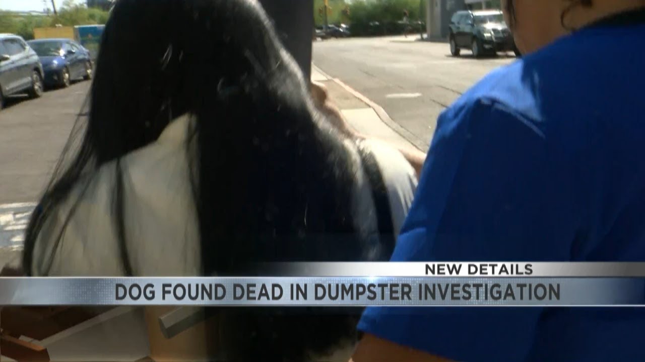 N4T Investigators: Woman whose dog was found dead in dumpster facing ...