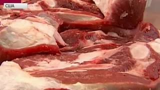 Учёные из Гарварда доказали вред мяса