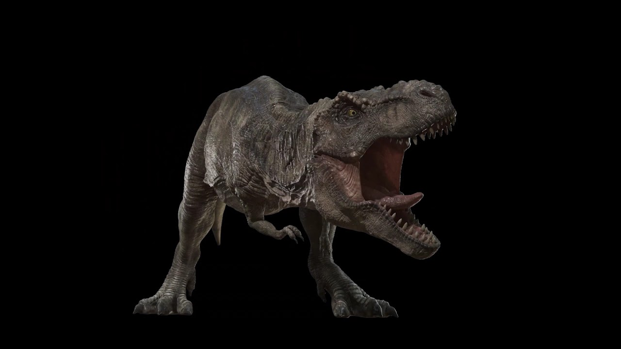 ROAR DINOSAUR T-REX - (Sound Effect) 🦖🦕 