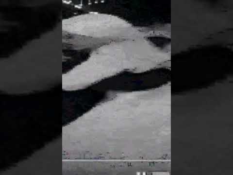 أحلى الأحداث فى العام الماضى زواج الأخين   