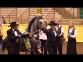 Horse Show Custom Class Videos offered by Stunning Steeds (featuring the Paso Fino)