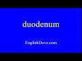 How to pronounce duodenum in American English.