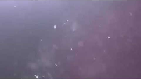 Shockwave intro No Text|Epic