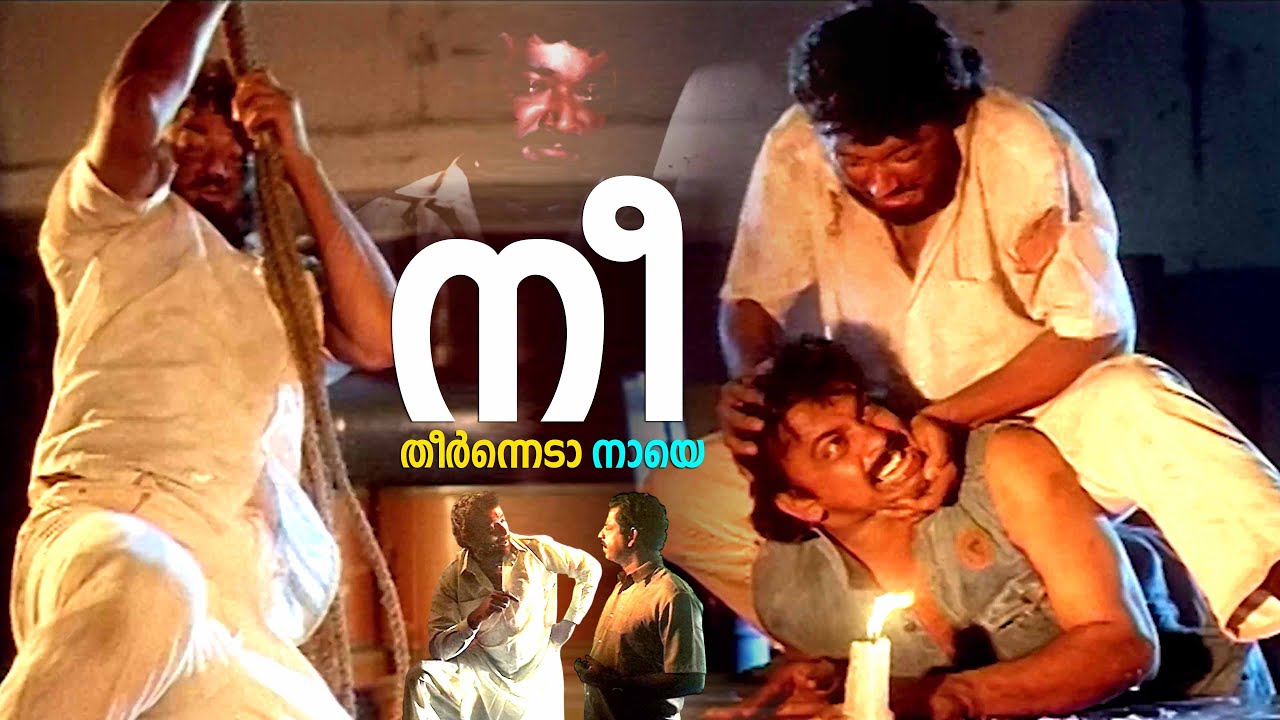 അവനെ അങ്ങ് തീർത്തേക്ക്  . ആരും അറിയേണ്ട | Customs Diary movie Scenes | Malayalam Movie  Scenes