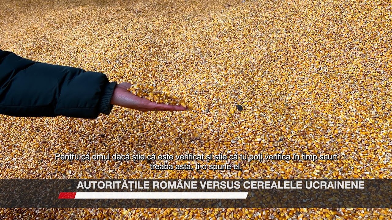 Autoritățile române versus cerealele ucrainene – Video