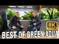 Discover the best of green aqua aquascaping store and gallery