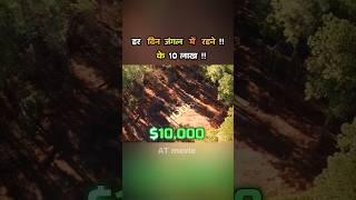 jungle survival challenge