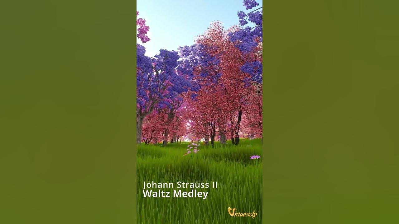 Johann Strauss Waltz Medley