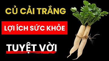 Lợi Ích Tuyệt Vời Của Củ Cải Trắng Cho Sức Khỏe, sống khỏe mổi ngày