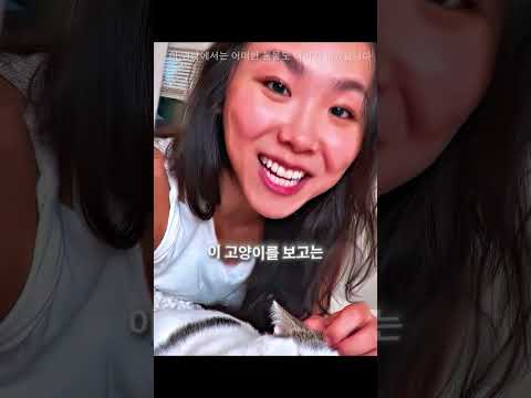 안락사까지 단 1시간밖에 남지 않았다 🐱😢 thumbnail