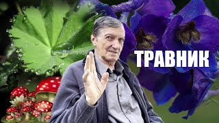 видео: АЛХИМИЯ   СИЛА ТРАВЫ картинка: АЛХИМИЯ   СИЛА ТРАВЫ