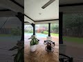 Día lluvioso #outdoors #patio #dog #lluvia