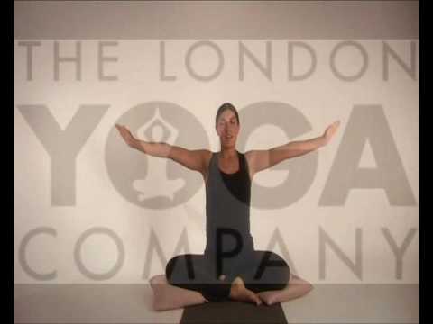 Pregnancy Health Yoga by Tara Lee DVD - The first ...