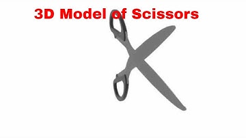 3D Model of Scissors Review