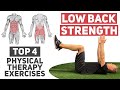 3 Exercises to Strengthen Your Low Back