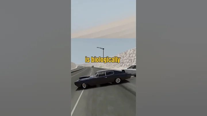 Fun facts ||10 weird but true facts that will blow your mind