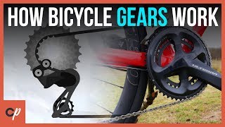 How Do Bicycle Gears Actually WORK?