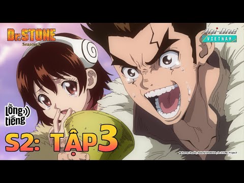 Dr. Stone