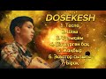 Dosekesh              lyrics 