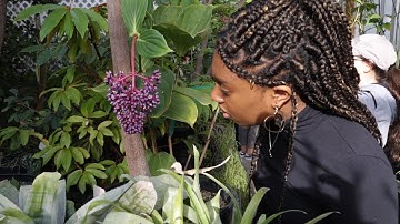 Barnard Teaches: The Global Power of Botany