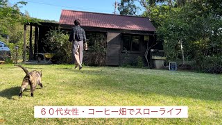 小さな空瓶・リメイクしたら超可愛く出来た‼/1人時間・猫と楽しむ/仏桑花の木・大伐採‼