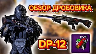 DP-12 ИМБА ДЛЯ КЛОУЗА?! | ТЕЛЕЦЕНТР | ARENA BREAKOUT