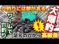【穴釣り秋】穴釣りには夢がある。小さい穴から高級魚連発！