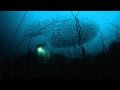 Terry Da Libra - Enchanted Waters (Original Mix)