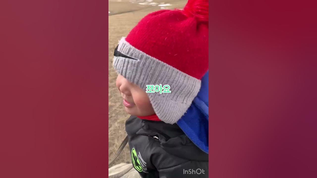 Хүү маань 3-н настай. Анх удаа морь унаж байгаа гэхэд улам л дурлаад ...